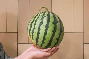 5 1 吃 瓜,揭秘“5 1 吃瓜”背后的神秘故事