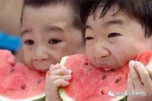 带你吃瓜拿奖,揭秘娱乐圈幕后故事