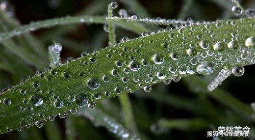 风渐渐吃瓜,揭秘娱乐圈的甜蜜风暴