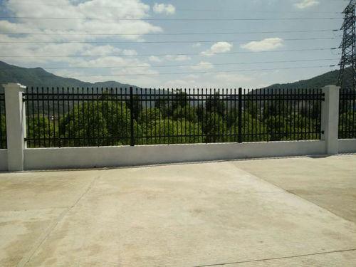 泉州大学栏杆吃瓜,校园生活趣味横生