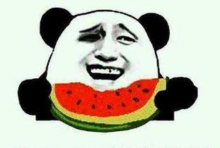 吃瓜吃不上,揭秘为何吃瓜吃不上背后的真相