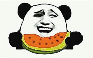 460903吃瓜群众,吃瓜群众的狂欢与思考