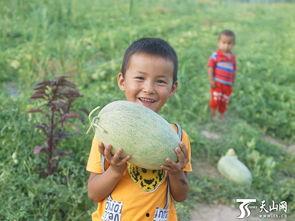 搞笑小孩吃瓜群众,小孩吃瓜群众的欢乐日常