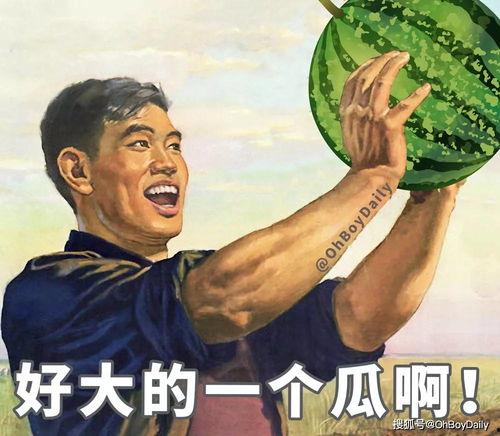 吃瓜人遇狼,惊险求生记