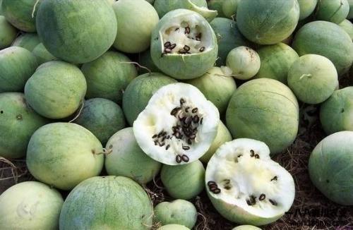 国人吃瓜花样,揭秘国人吃瓜花样百出的奇妙世界