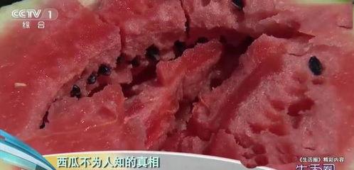 吃瓜猝死的威力