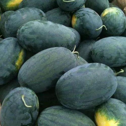 梦见自己吃京瓜,京瓜美食之旅