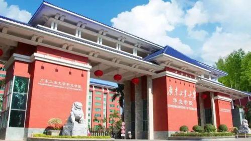 广州华立学院 吃瓜,揭秘校园“吃瓜”文化现象